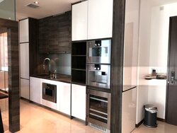 The Scotts Tower (D9), Condominium #501889211